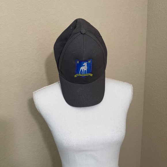 Ted Lasso Unofficial AFC Richmond Baseball Hat - Picture 2 of 6